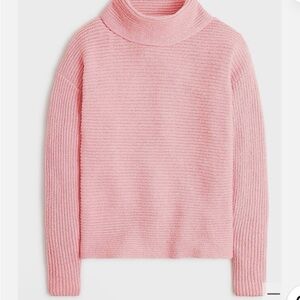 Pink Turtleneck Sweater JCREW XL